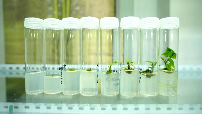 ����kaiyun�羺��(�й���)�ٷ���վ