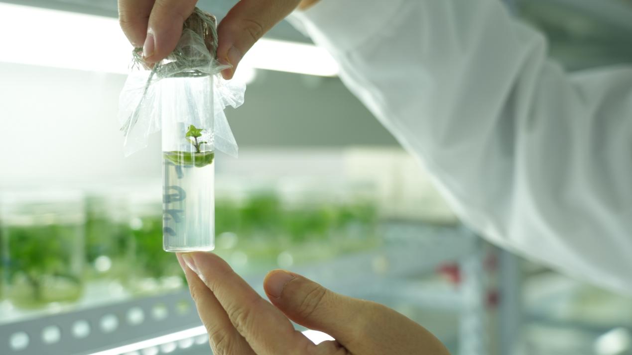 ����kaiyun�羺��(�й���)�ٷ���վ