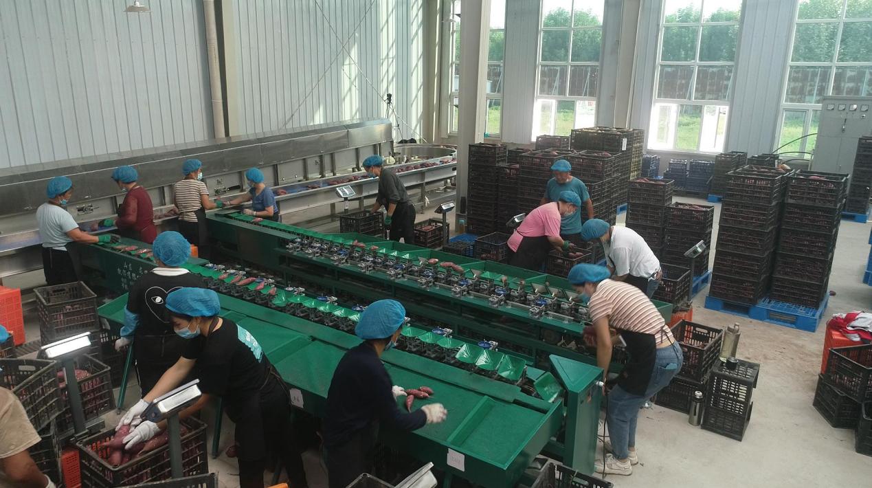 ����kaiyun�羺��(�й���)�ٷ���վ