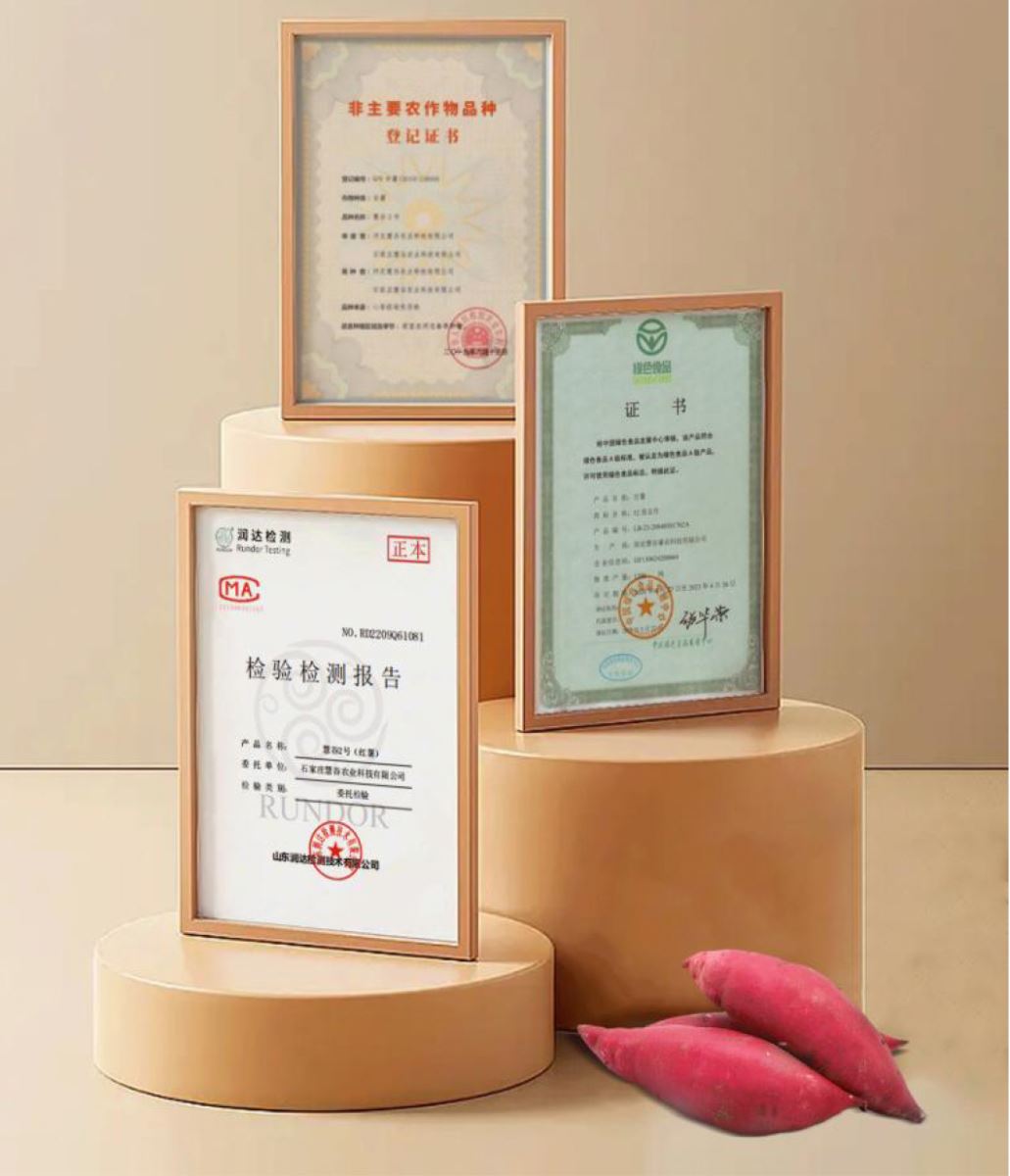 ����kaiyun�羺��(�й���)�ٷ���վ