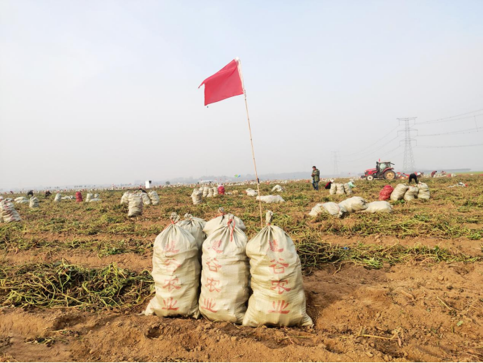 ����kaiyun�羺��(�й���)�ٷ���վ