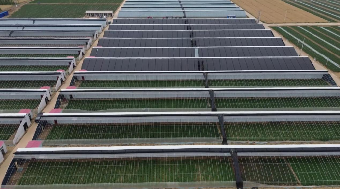 ����kaiyun�羺��(�й���)�ٷ���վ