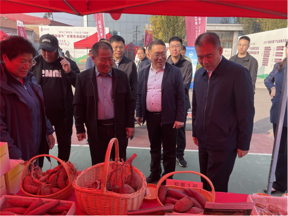 ����kaiyun�羺��(�й���)�ٷ���վ