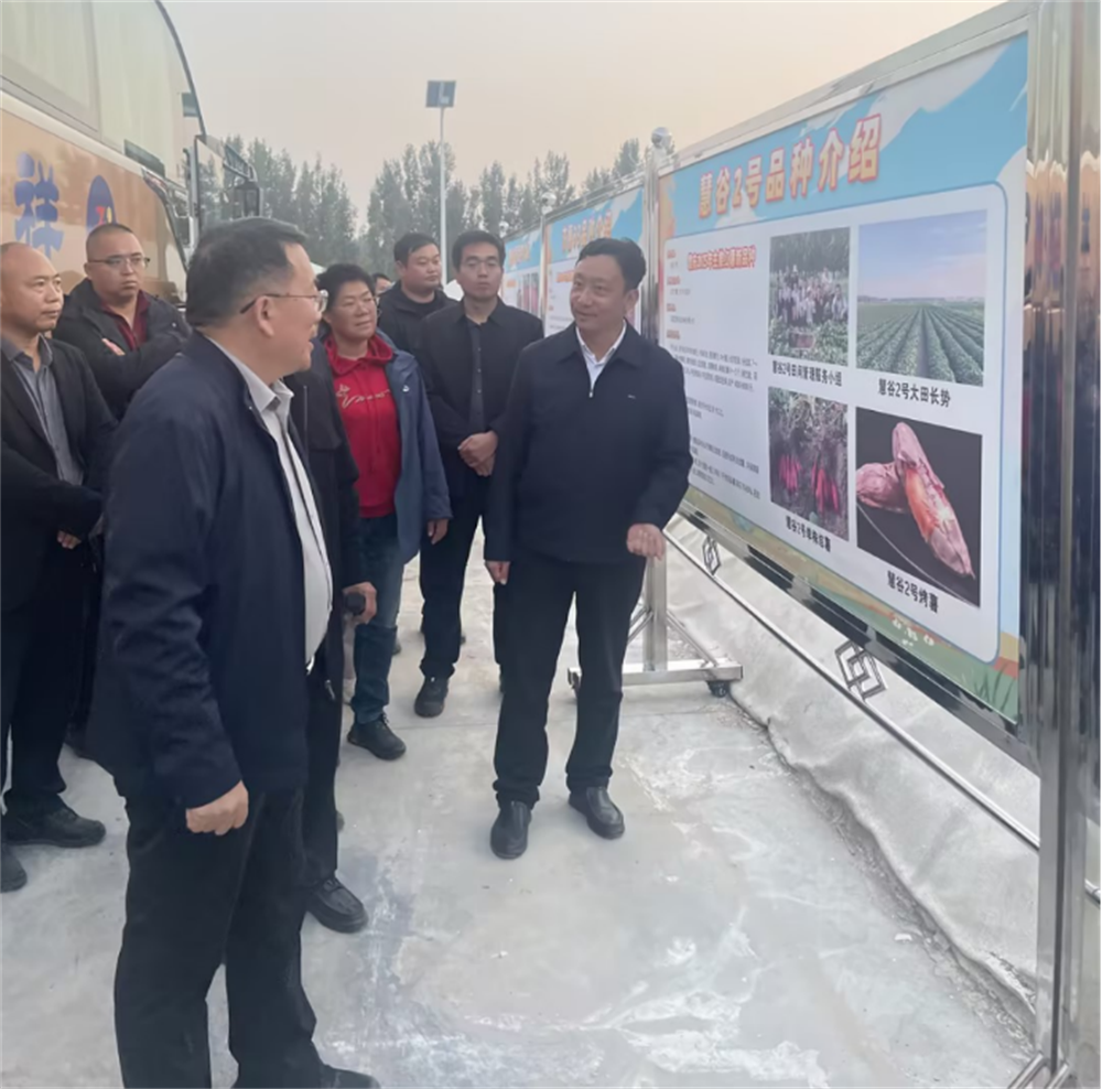 ����kaiyun�羺��(�й���)�ٷ���վ