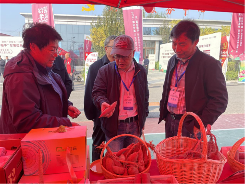 ����kaiyun�羺��(�й���)�ٷ���վ