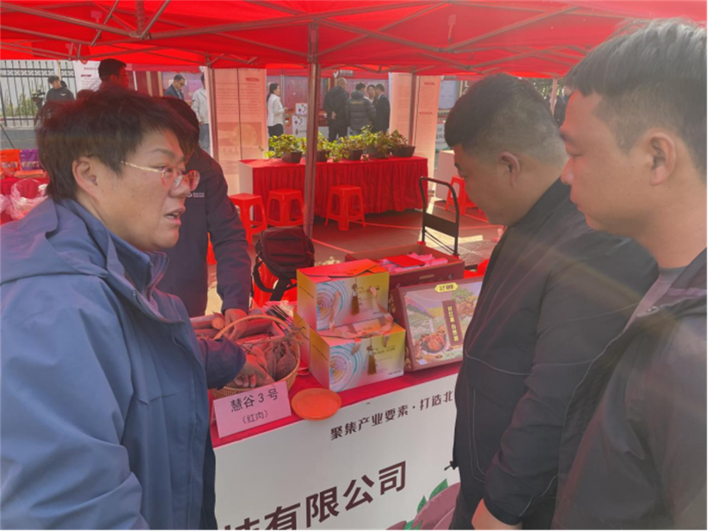 ����kaiyun�羺��(�й���)�ٷ���վ