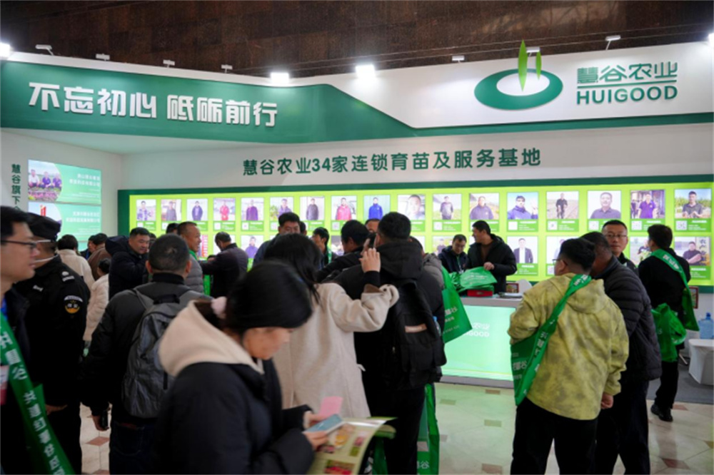 ����kaiyun�羺��(�й���)�ٷ���վ