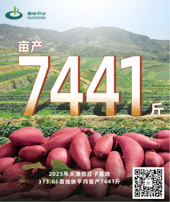 ����kaiyun�羺��(�й���)�ٷ���վ