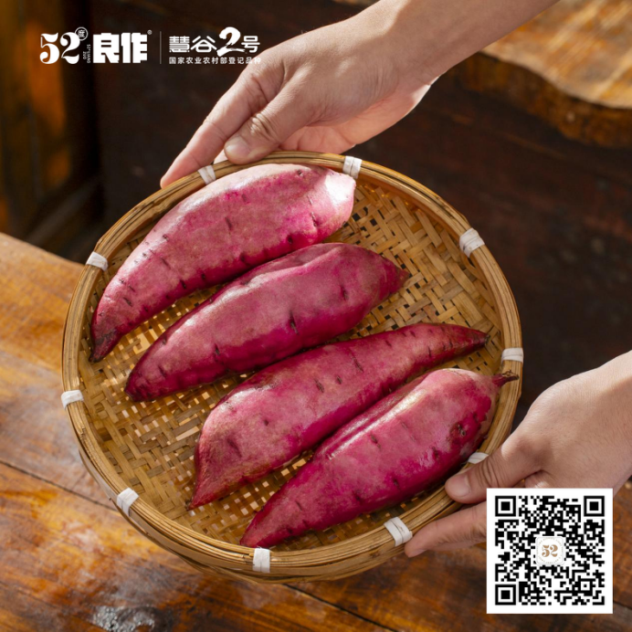 ����kaiyun�羺��(�й���)�ٷ���վ