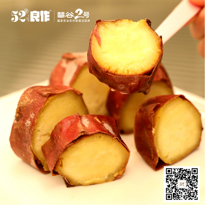 ����kaiyun�羺��(�й���)�ٷ���վ