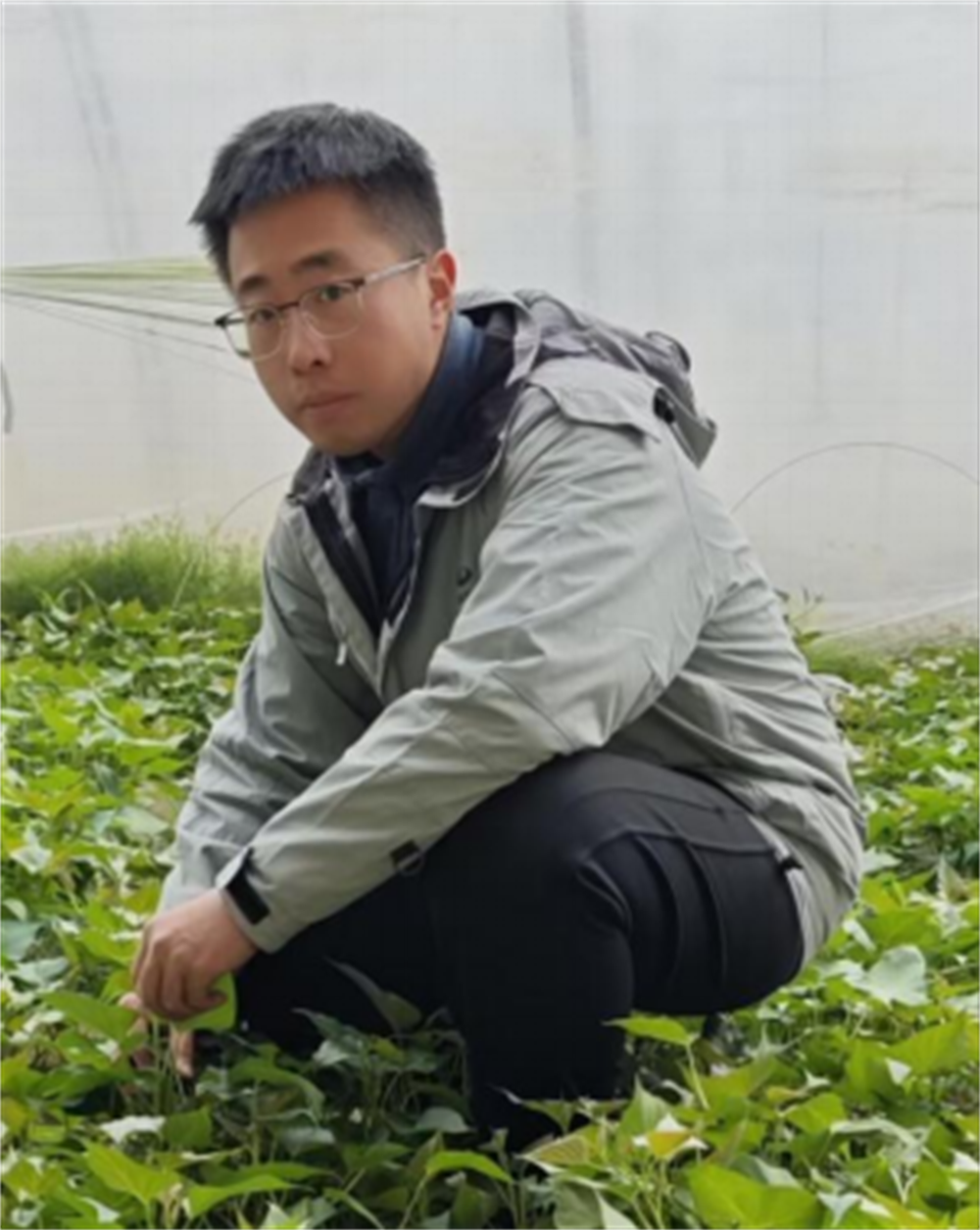 ����kaiyun�羺��(�й���)�ٷ���վ