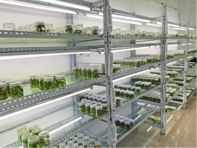 ����kaiyun�羺��(�й���)�ٷ���վ