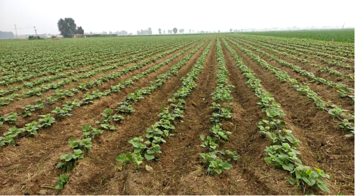 ����kaiyun�羺��(�й���)�ٷ���վ