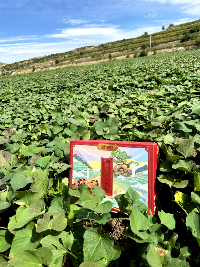 ����kaiyun�羺��(�й���)�ٷ���վ