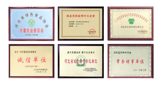 ����kaiyun�羺��(�й���)�ٷ���վ