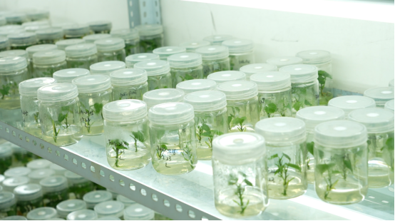 ����kaiyun�羺��(�й���)�ٷ���վ