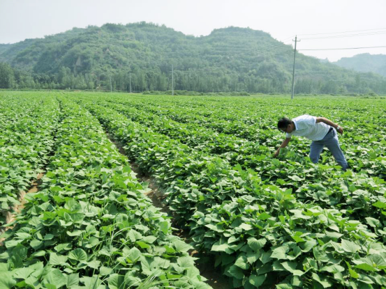 ����kaiyun�羺��(�й���)�ٷ���վ