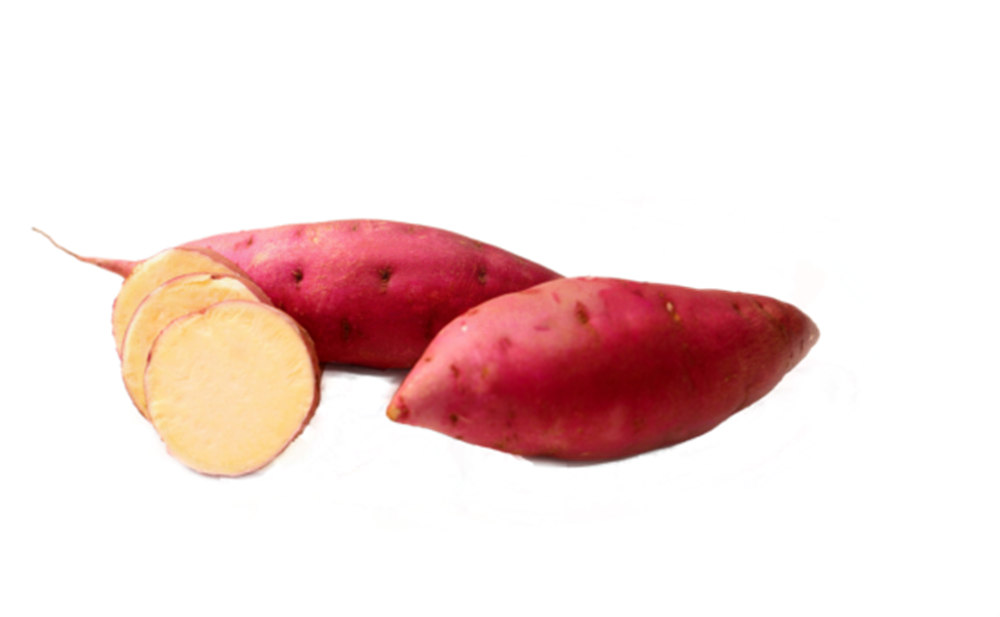 ����kaiyun�羺��(�й���)�ٷ���վ