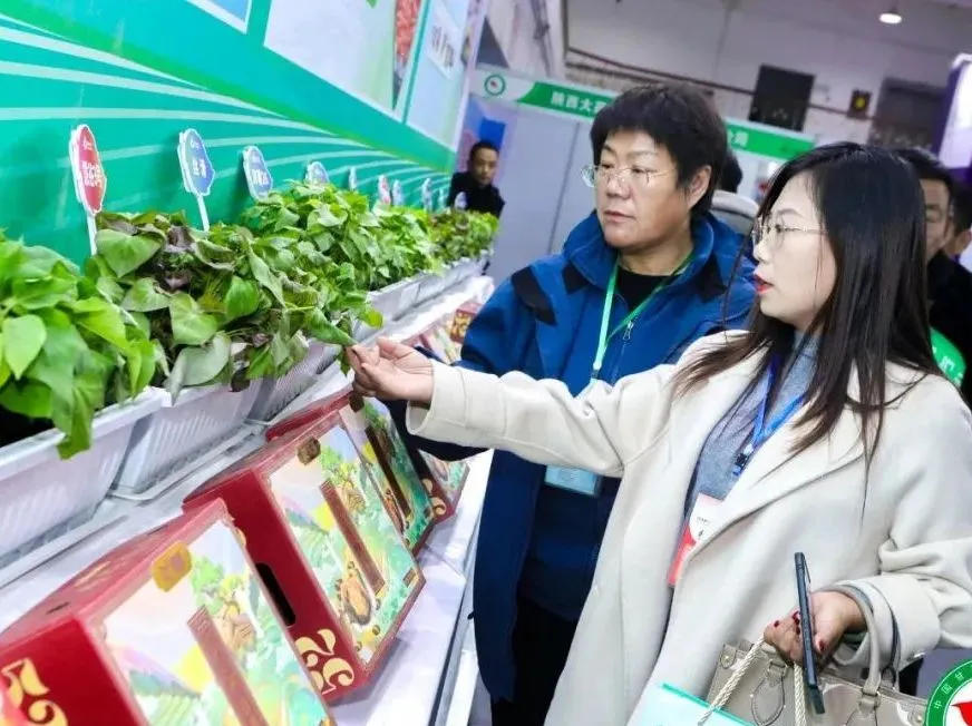 ����kaiyun�羺��(�й���)�ٷ���վ