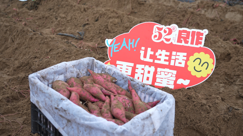 ����kaiyun�羺��(�й���)�ٷ���վ