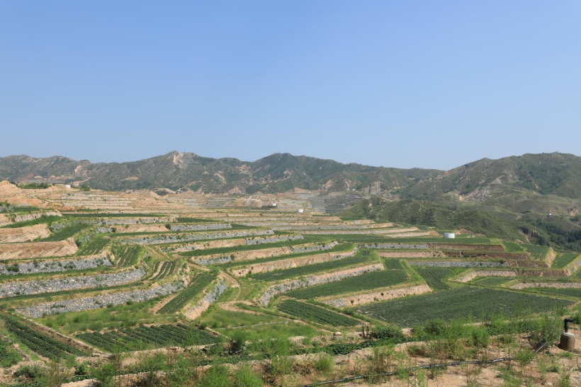 ����kaiyun�羺��(�й���)�ٷ���վ