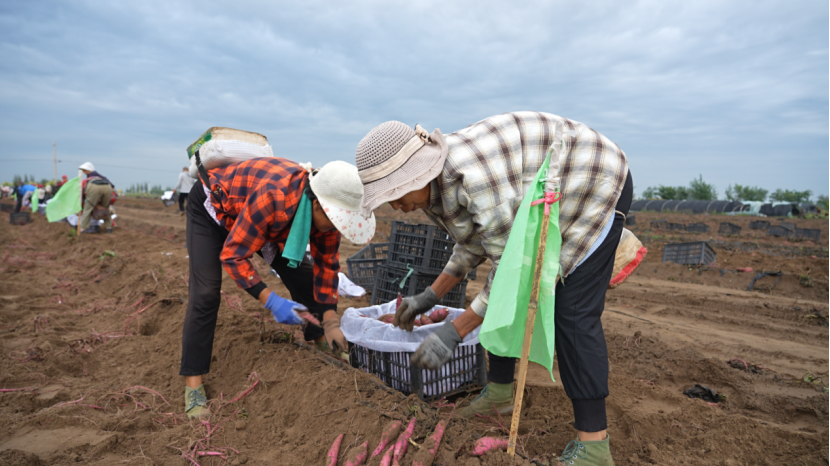 ����kaiyun�羺��(�й���)�ٷ���վ