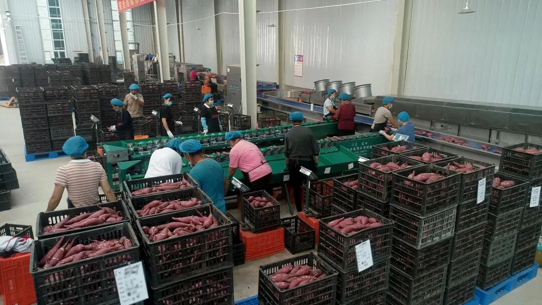 ����kaiyun�羺��(�й���)�ٷ���վ