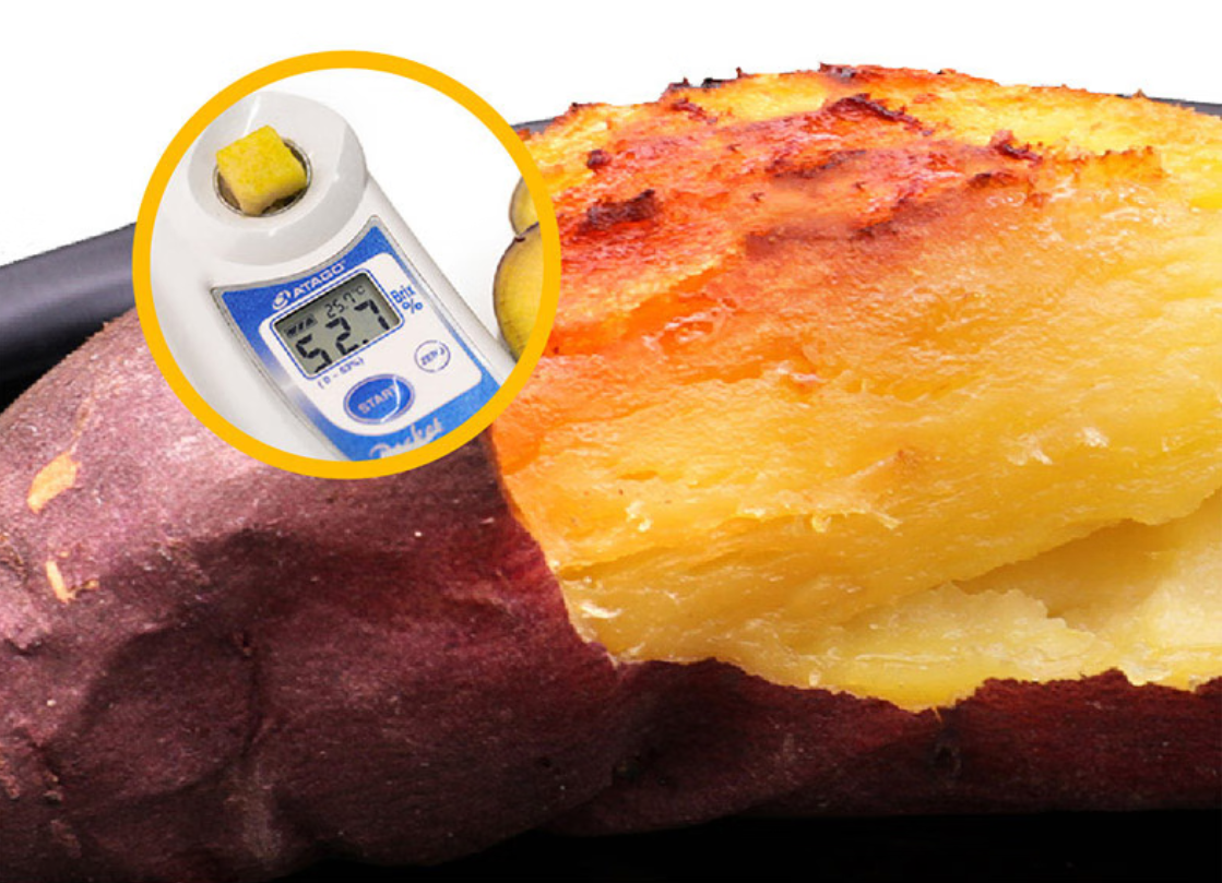 ����kaiyun�羺��(�й���)�ٷ���վ