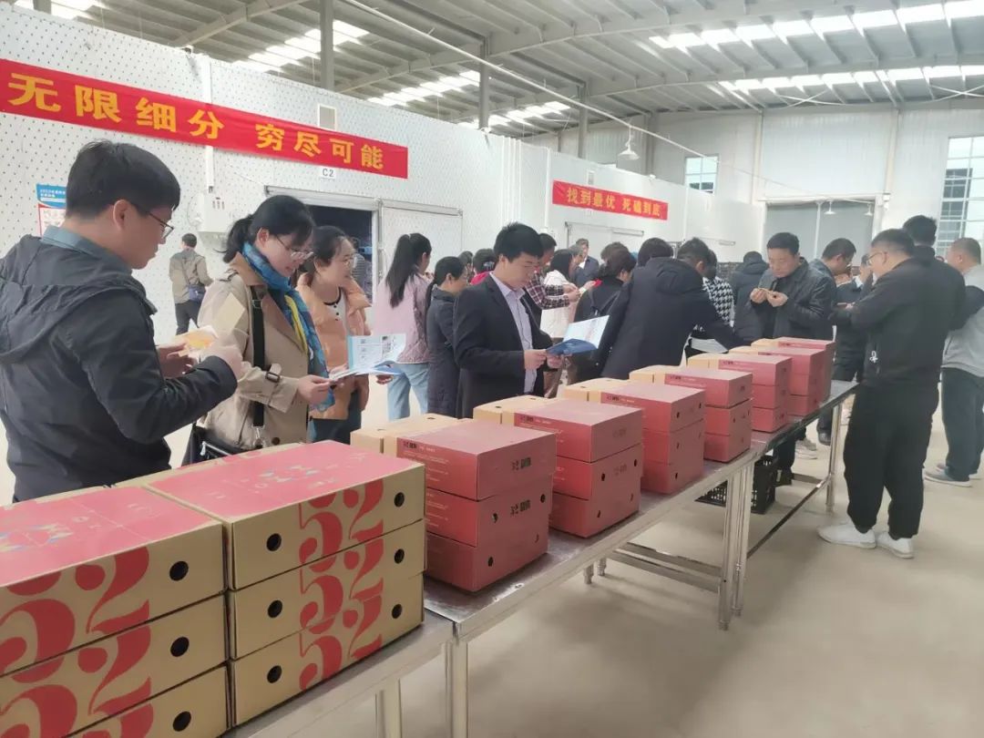 ����kaiyun�羺��(�й���)�ٷ���վ