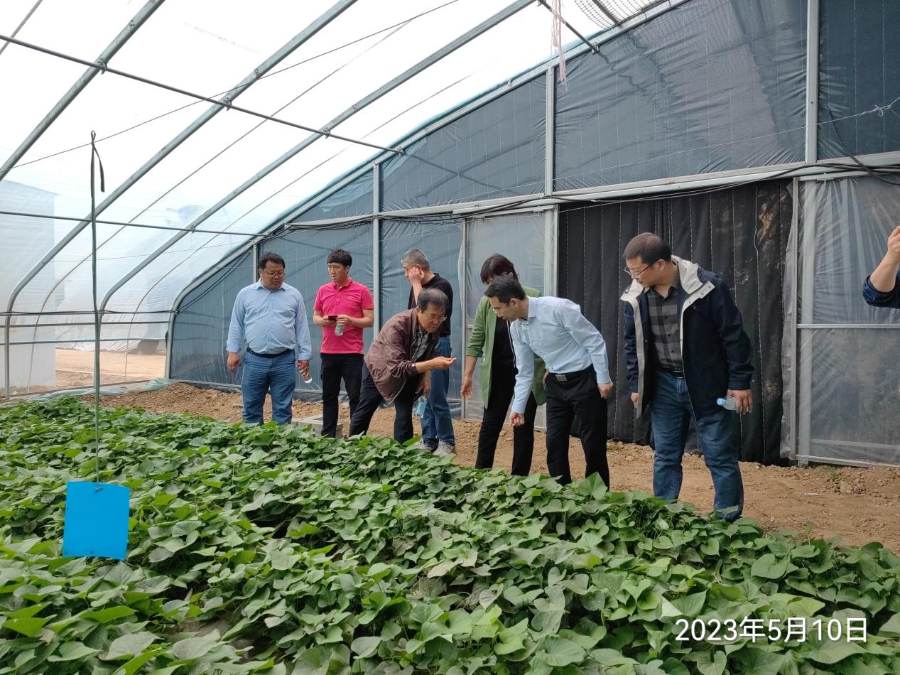 ����kaiyun�羺��(�й���)�ٷ���վ