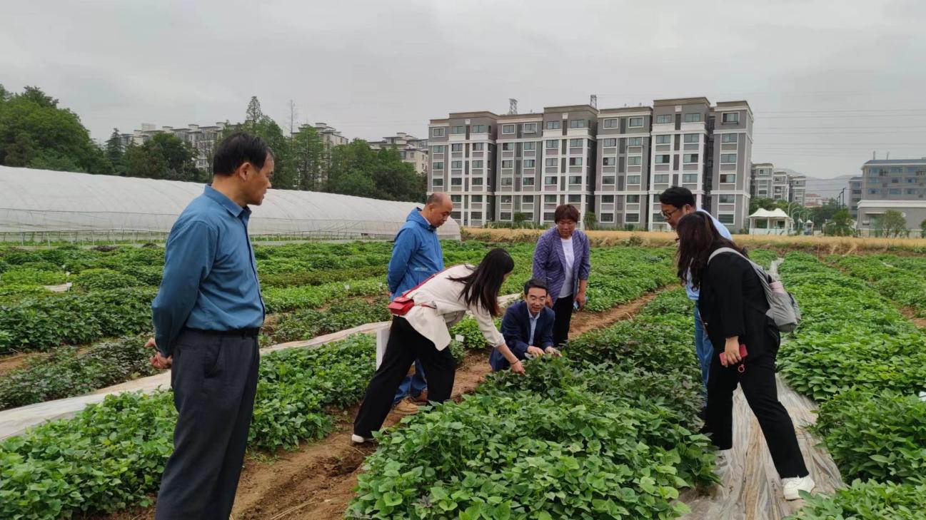 ����kaiyun�羺��(�й���)�ٷ���վ